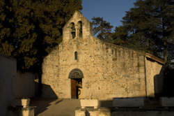 FLEURISTE - EMPLACEMENT N°1 BONSON-42