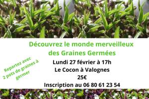 Atelier cuisine végé :  les merveilleuses graines germées